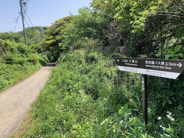 UkyTRNG