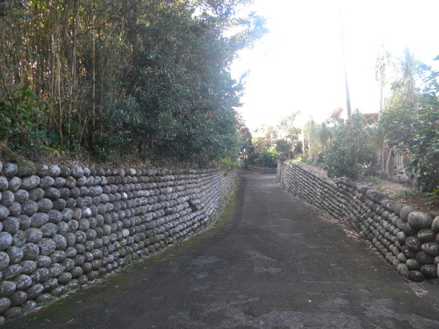 org2890751
