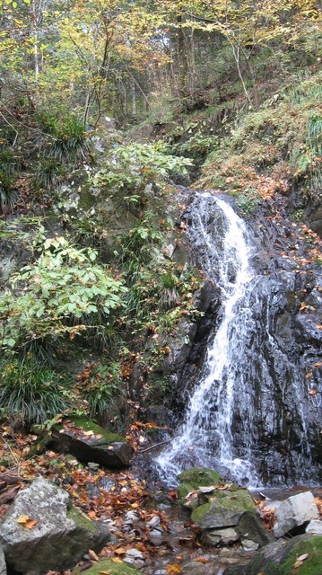 vljiko087543