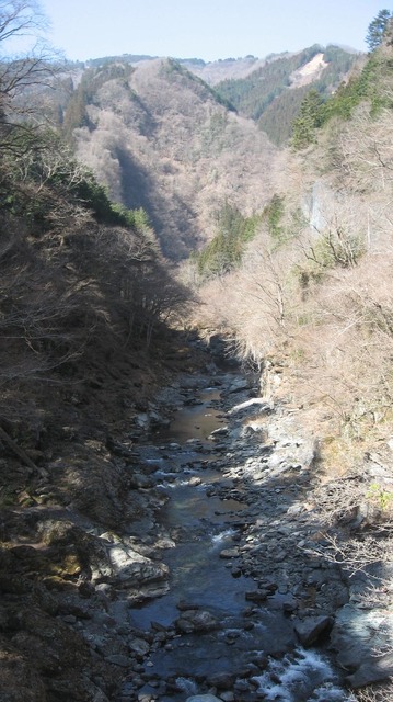 vljiko092172