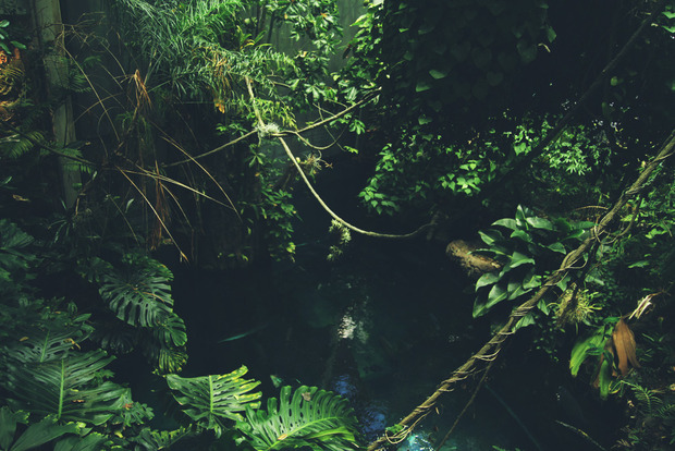 vlphoto017393