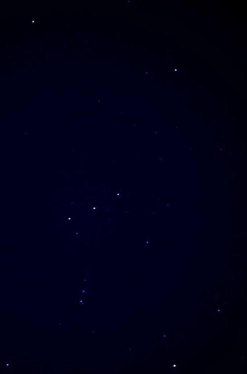 org2273991
