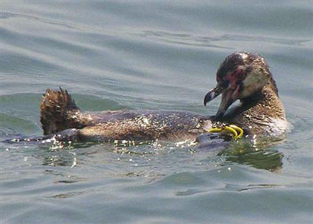 sot12051605010001-p1