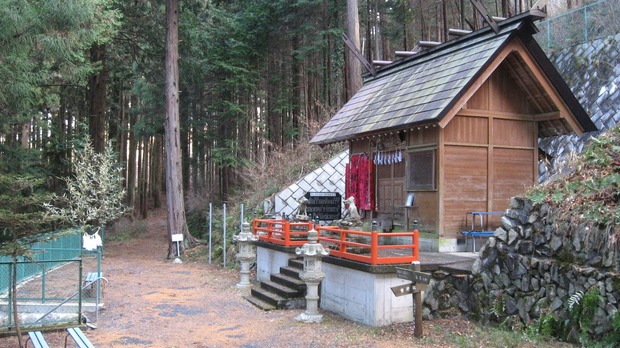 vljiko089181