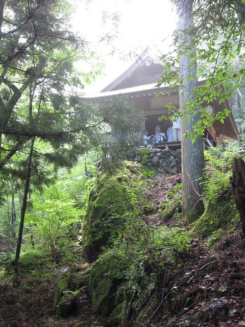vljiko081581