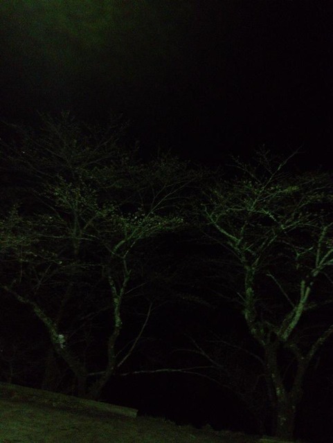 w02qA23