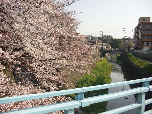 org3480552