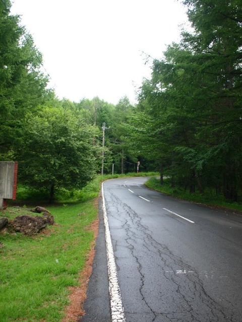 UZL17