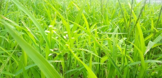 rmb0VF7
