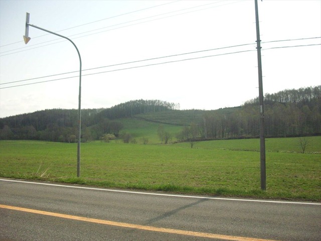 org3481301