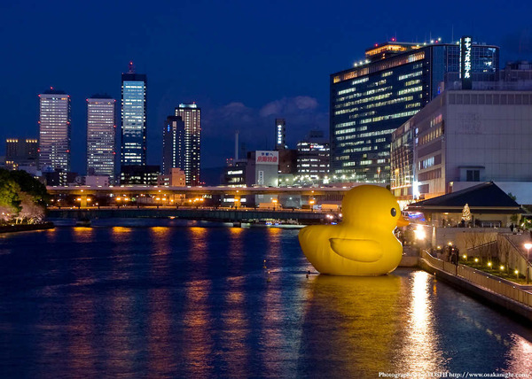rubber_duck_osaka04