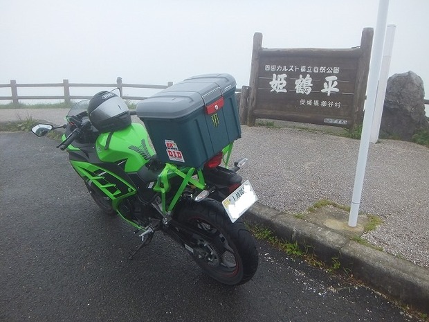fG318wX