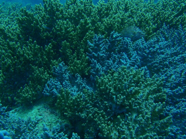 org2836492