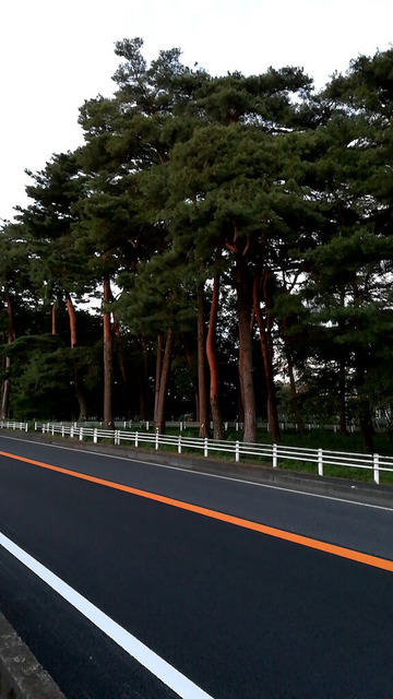 vfVYLhg