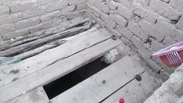 pFOd7Mp