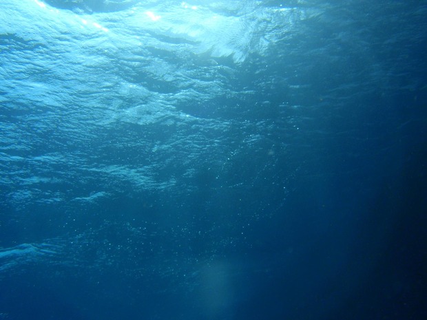 org2836731