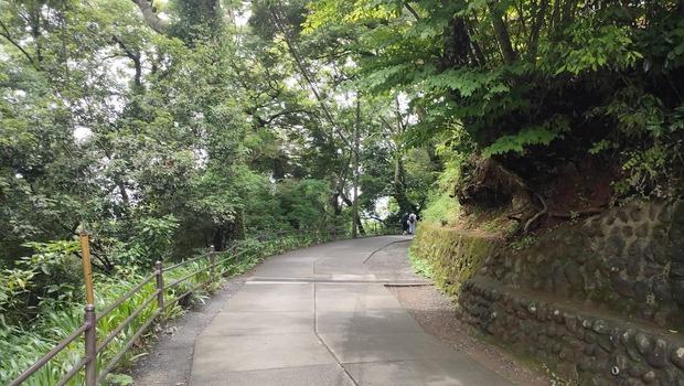 4fCzXzM