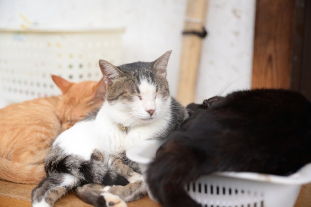 my22835NuwYtAuhkogQASEY