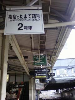 6rzlSuf
