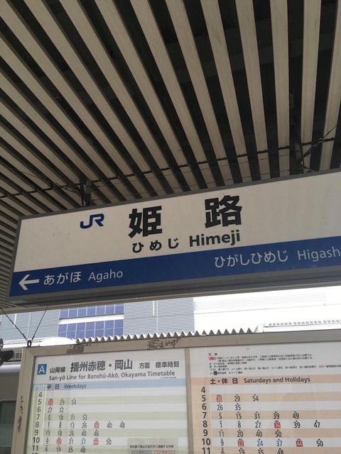 NJvq6KW