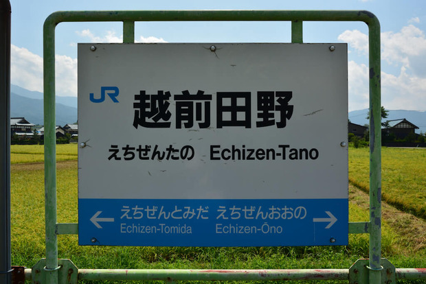 zWdibrH