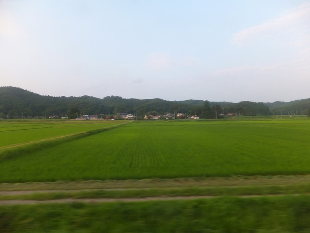 dsotn