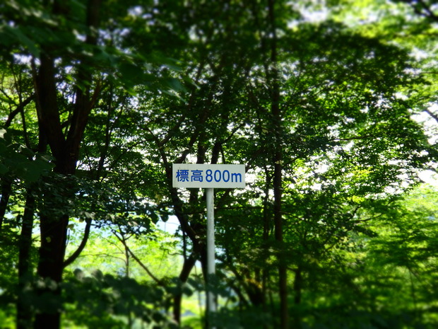 5MtxEOS