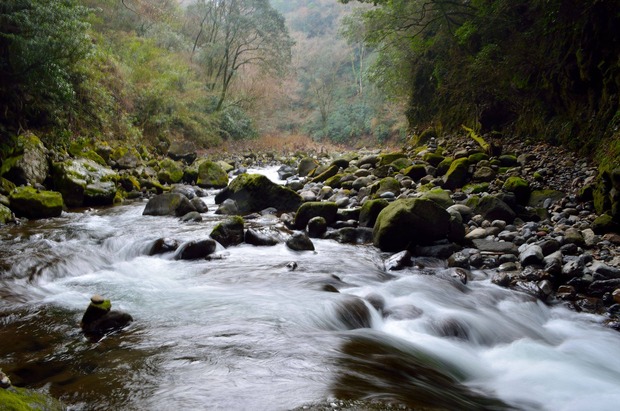 UEhAfod