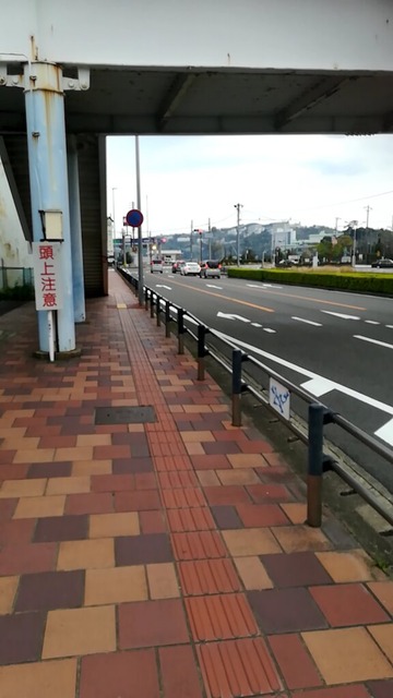 bx5xySO