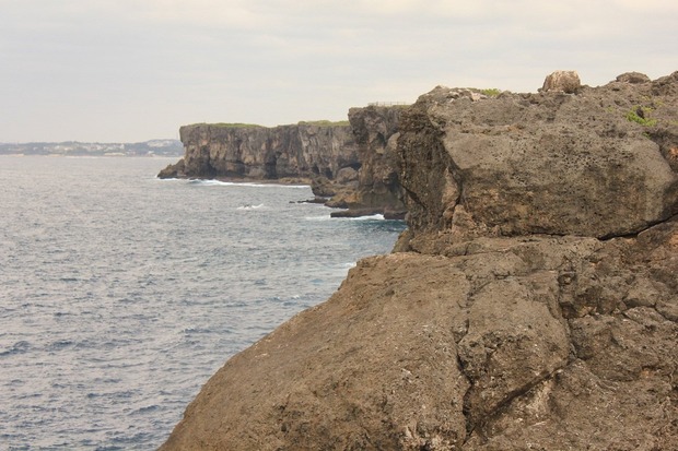 org2836952