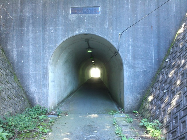 org3433337