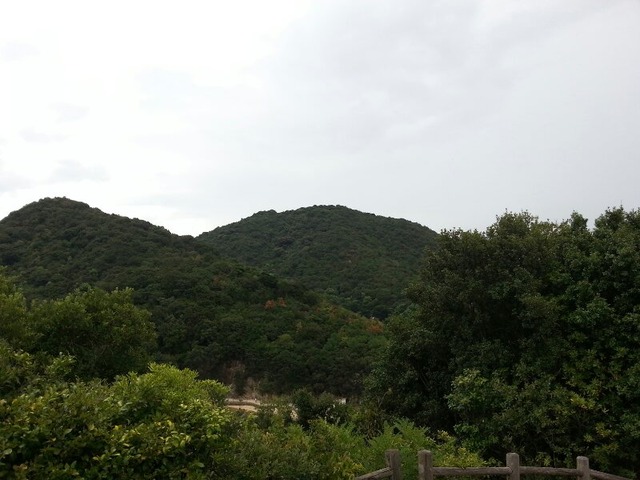MqymM