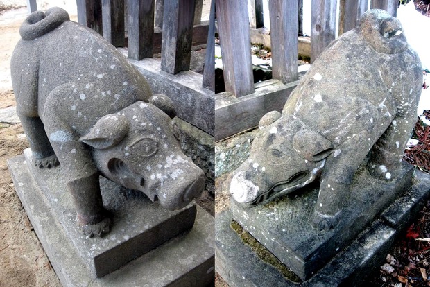 vljiko091464