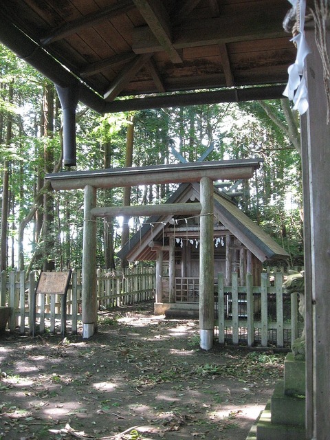 vljiko084706