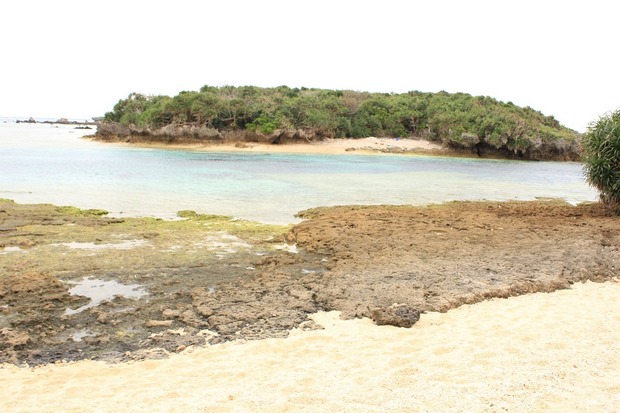 org2837063