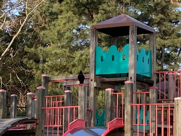 oAKyYoY