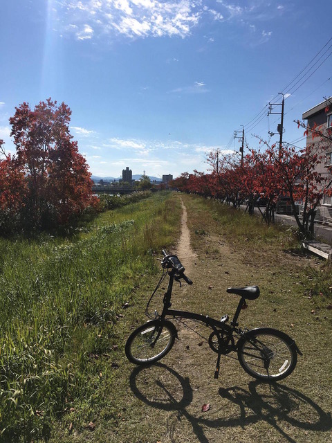 rIvYcZP
