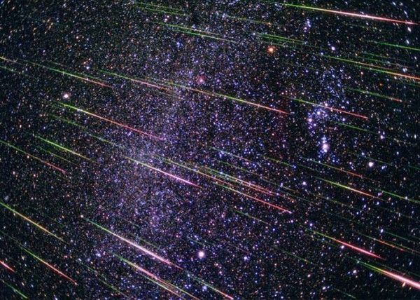 leonids