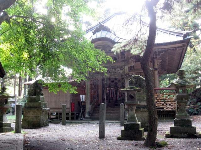 vljiko084805