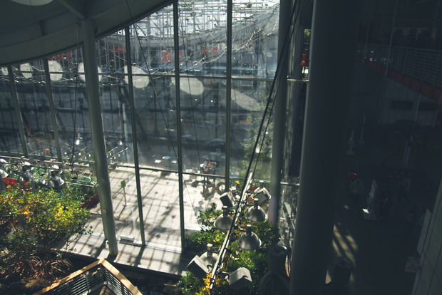 vlphoto017391