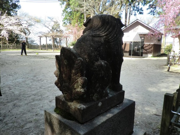 OzuPfJe