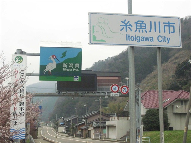 org3480878