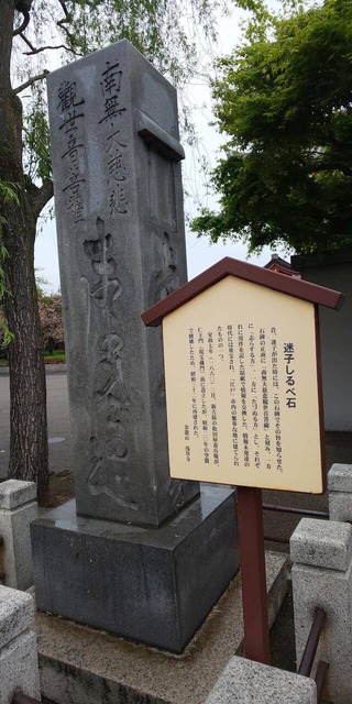 FP85uMV