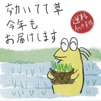 qQPxScP