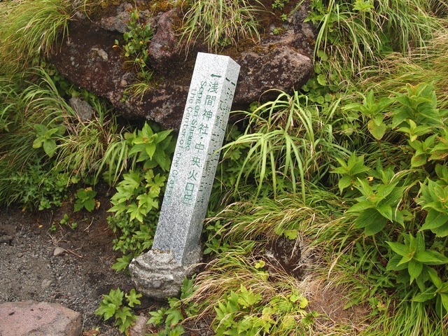 org3409835