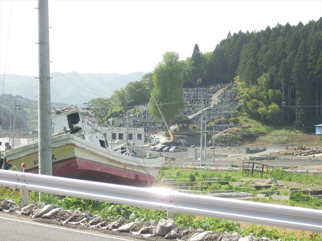org3481620