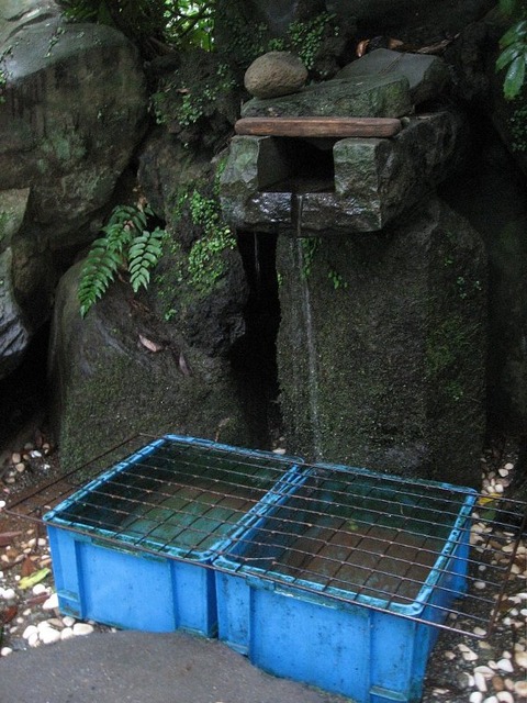 vljiko083180