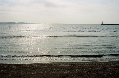 16416979.jpg
