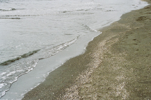 3c62e317.jpg
