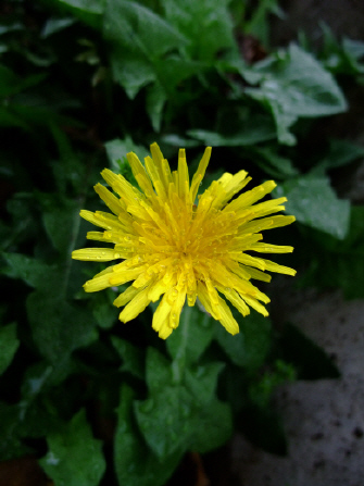 4f8049db.jpg